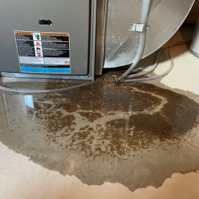 Appliance Leak Cleanup in Burnsville, NC